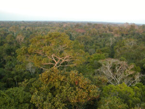 amazzonia foresta puerto maldonado