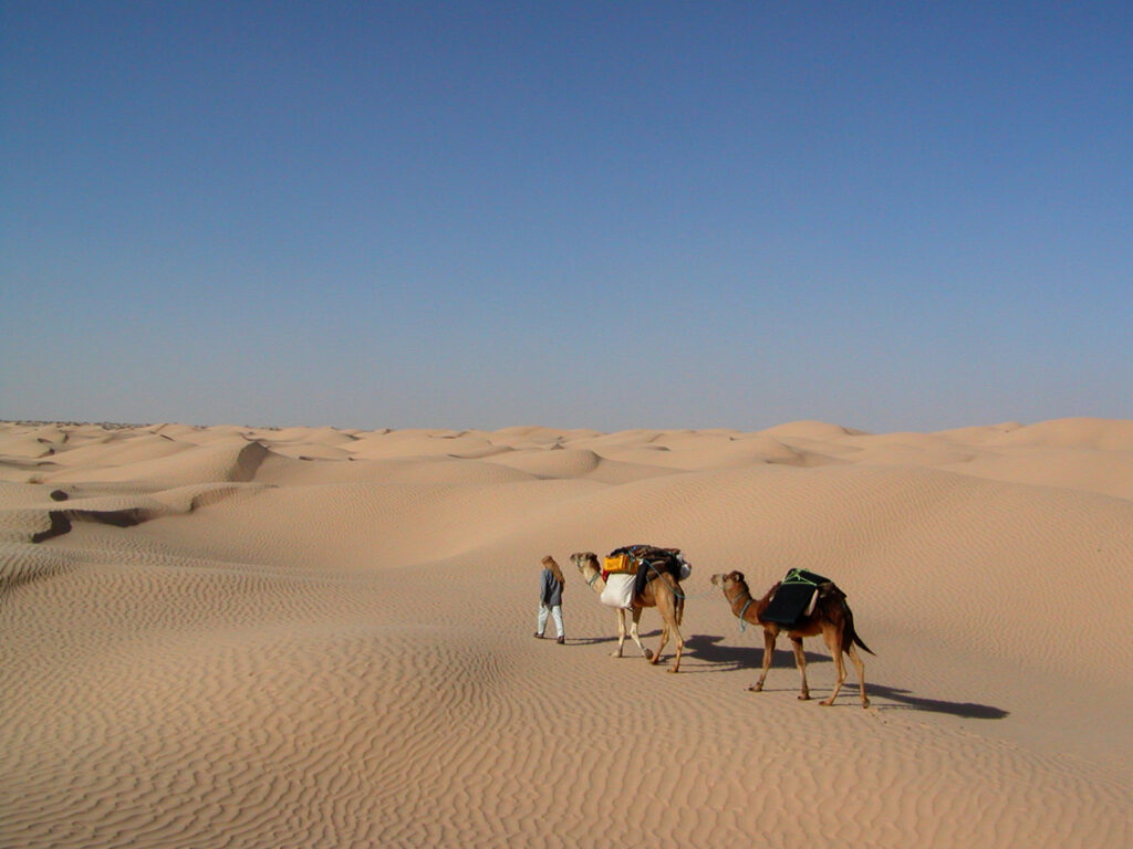 deserto sabbia dune