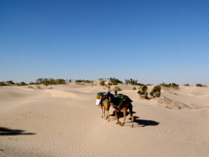 sahara deserto sabbia