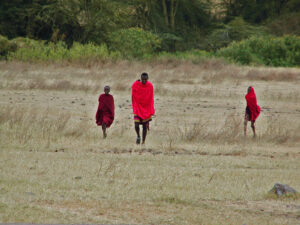 tanzania savana masai