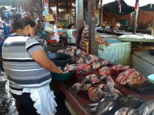 nicaragua mercato pesce