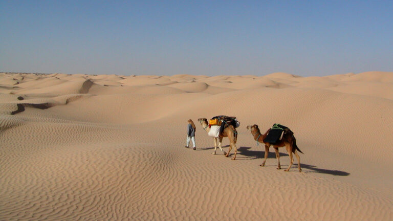 Sahara | Fotogallery | FocusTravel