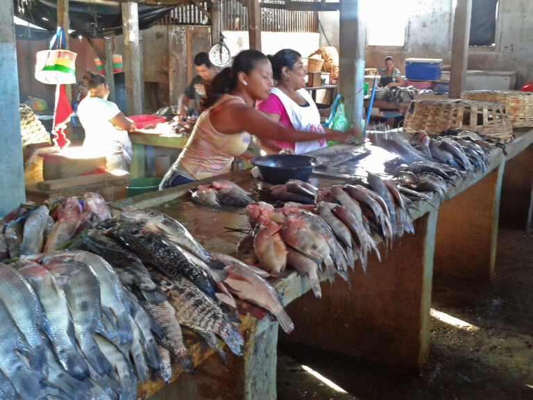 nicaragua, fish market, pesce