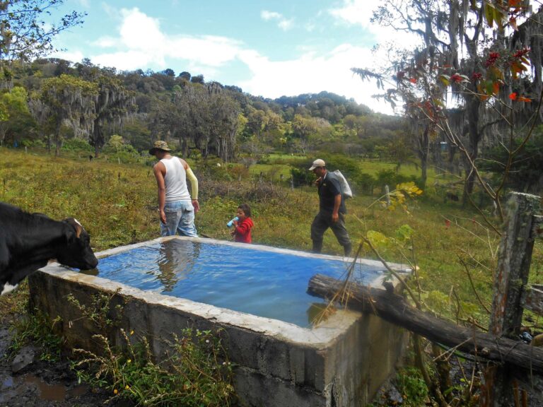 nicaragua, area protegida miraflor