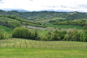 monferrato hills, colline