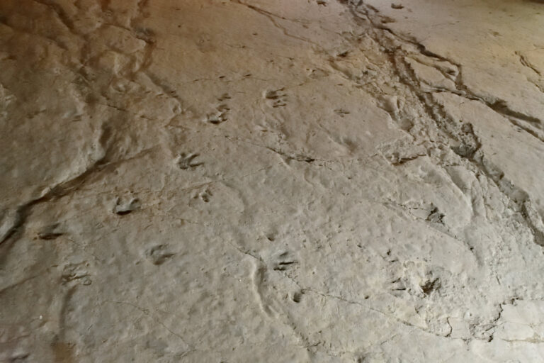sataplia dinosauri impronte